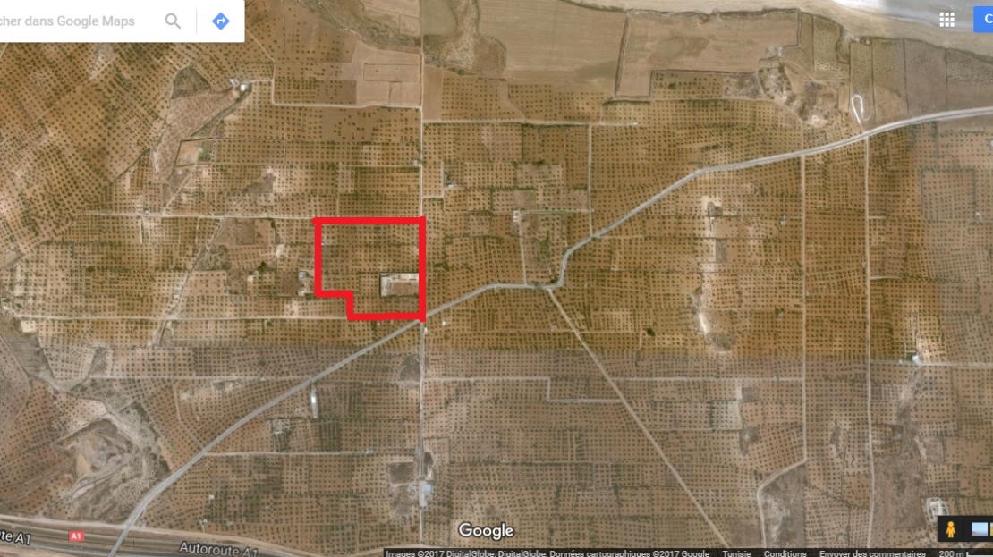 3 hectare à vendre